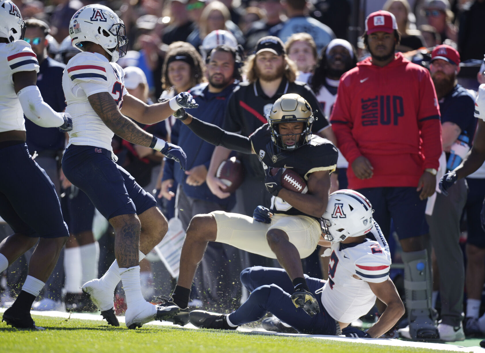 Arizona Colorado Football